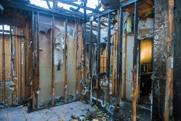 Professional Fire Damage Repair technician working in Glendora, NJ
